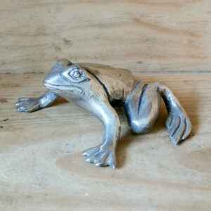 Silberfiguren – Breitmaulfrosch