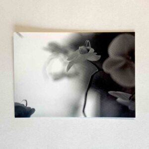 Postkarte – Orchideen